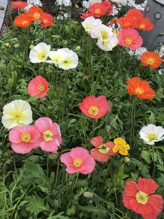 6498b5e96f28486dbe5502bc472604f5