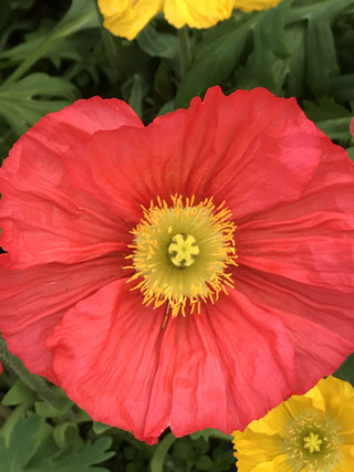 D459aa8d9e7b4a2d9f4c56420b755f7e