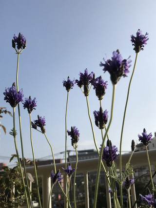 A44c01a2da7e4ccaa49ed6eb84cffdfa