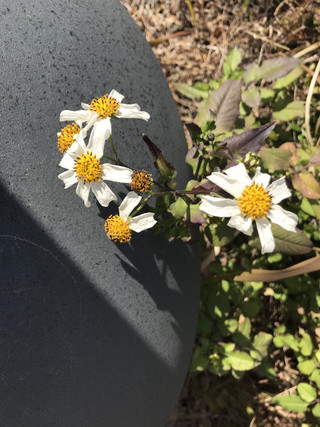 9343dede2e43409eb1e74b754f1235e1