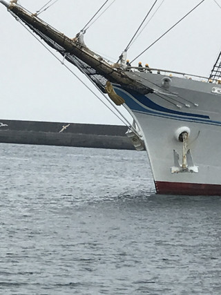 0383056a5bca4dd58a3f9bbef27d77fe