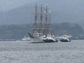 1d9f84902e7c449d9137e01659f39892