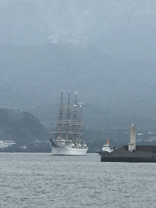 2cfedf9d7a8740118ceea1d318de3d19