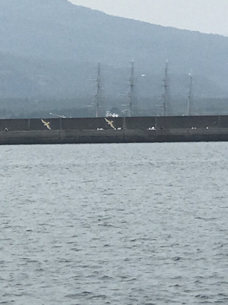 A844c97a653b404eac5e315cbd605be6