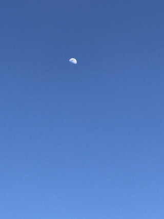 2c7f6defe8b14c69994719866e9b8f49