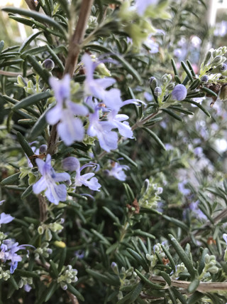 48364d23558b42a399f6bfd469b7e83d