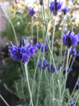 30b9082690fb46e5b2170913cee1f745