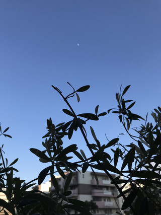 5cd6163888954afdad0395c7eb4bf522