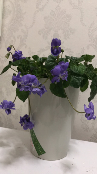 B4da0fa5c45447fc8b6b23ae38131bce