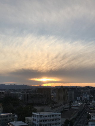 80236b4eb997416b8c51a99d7fc8a3ec