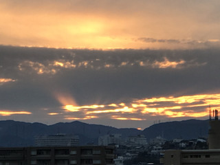 748d25325dcd4ee1982705d4376e80fc