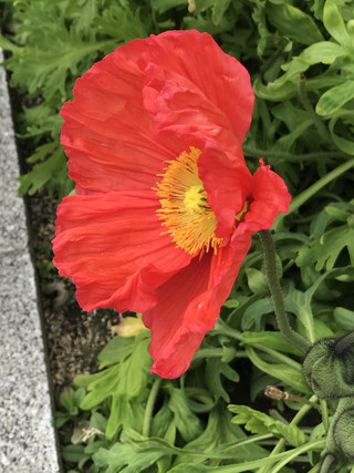 F278697b7aab4e74b59861dd2ba7d2de