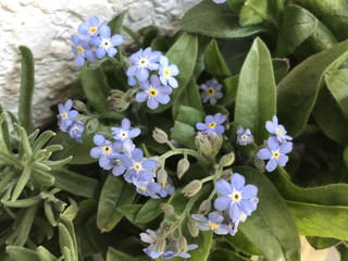 D5cd39f0f0444192a75c955f9a26c355