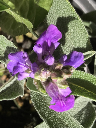 0bcf41c721d040f7a1b942c0b62a3015