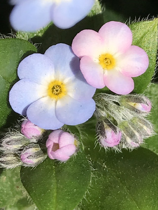 37b1f4973ca04844b0c75c10a26df1c5