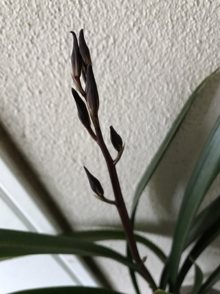 4f4c04715af5494fa812862cd41929d9