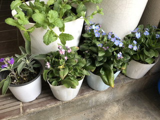 8f8d0ae668f64561920b9a63114c0f02