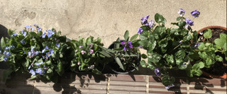 E4a6c7284b4f4311bdc45a9c625f955f