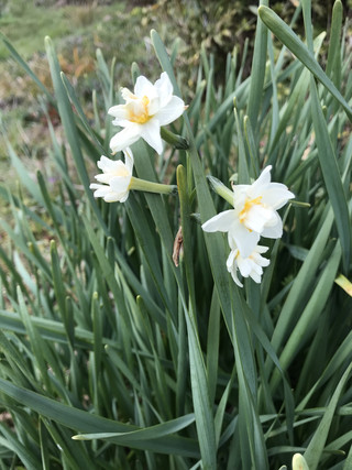 6d375d51a20b4bef96545c9990d76b77