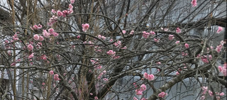 00629dc552a441a384128ca602610134 00629dc552a441a384128ca602610134