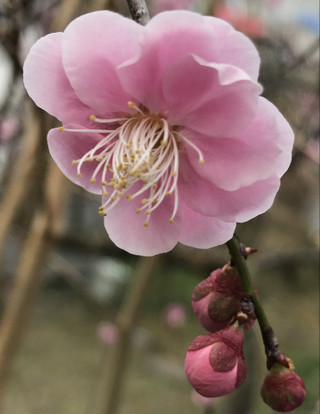 De79697a1aa843fea3a5829a47ee0a3d De79697a1aa843fea3a5829a47ee0a3d