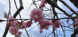 25aded196e47403daa95d3f8579614d6 25aded196e47403daa95d3f8579614d6