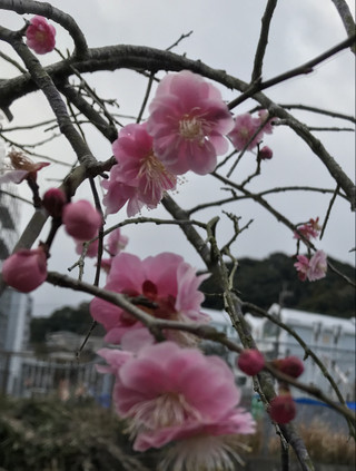 51ab4662e9d34e868f702b38c743aaf6 51ab4662e9d34e868f702b38c743aaf6