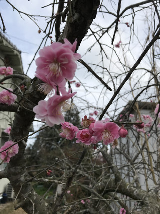 855c6d34129c41579308cc6ca89e9198 855c6d34129c41579308cc6ca89e9198