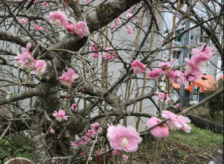 932a33aaa8c3447f8773f854376ef3d8 932a33aaa8c3447f8773f854376ef3d8