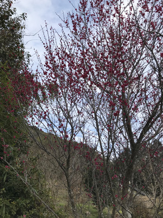 9a4e2fa62e76469abaf1baa13c327b83