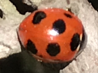 859504797b8a4c88bb2346680454f555