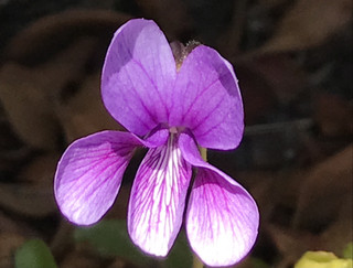 E3b4a6e76248434191d8cc358802f1ab