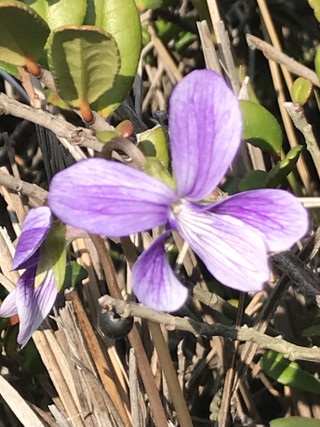 9ee43be821564f85b44eb10ea8782ea9