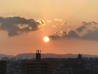 Ad8cac3ce9ad4507ba8b334287503efd