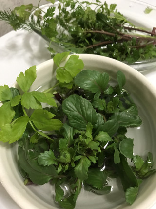 922db549787747f481c254277471b5c5