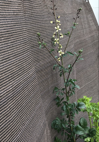 10953f5f70b545c5ba70bffcf137cfa4