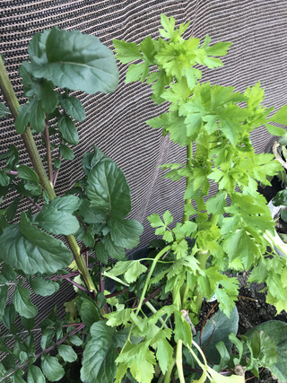 59b0b3b269e44d24a3db30b67e95a268