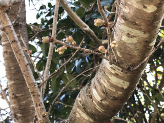 80e7fc700f064c148e76eba8f3b2ec4f