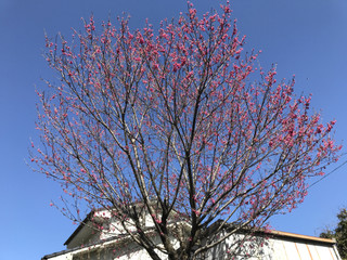 90449af82f7b489eac3c7a302491a87b