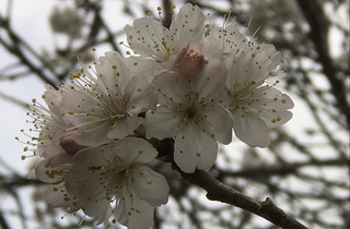 0d295d75ca854bf6b2075dc21c308b9c