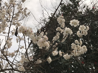 107c240f028e46eea8e5c8618cc8ac2f