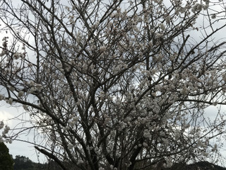 3d6c7a8299ad4062b78af3ca12dc5ffc