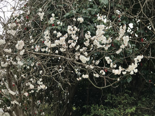 6433b26ee49a44a3b0f3d46a4e52aa23