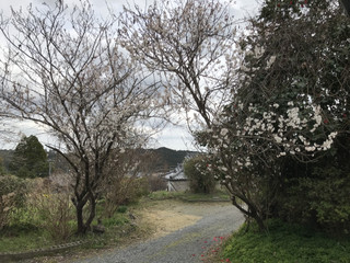 E9e0e8264b25411aa52bd358481f98fe