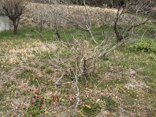 01f22fb3cacb49d5934a4cb9b8e2e279