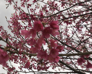 188e35323637472d989f013871f3b385