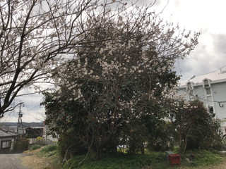 1baca90903d2437db969eb12f84a8488