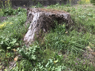 484ececad66e4268a6728f5fae2ab650