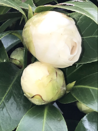 6706bfba98b1432196aa35cf0612190b