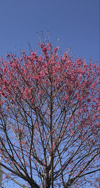 6211da79738a4debaf70ab1eb5cb6a51